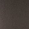 Tints 20527
